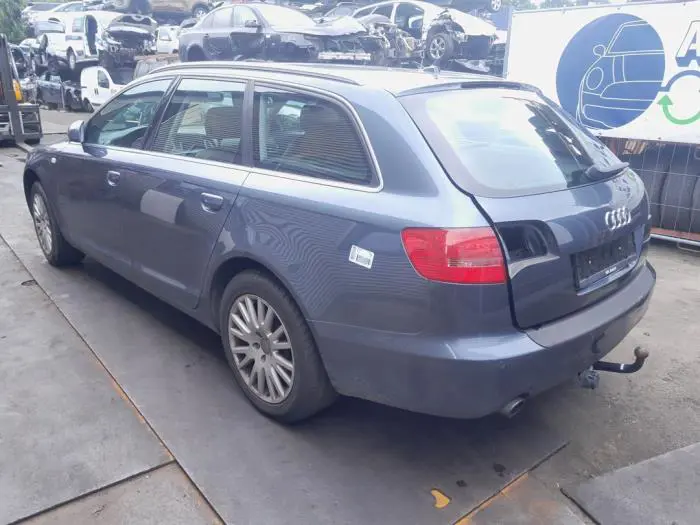 Portierruit 4Deurs links-achter Audi A6