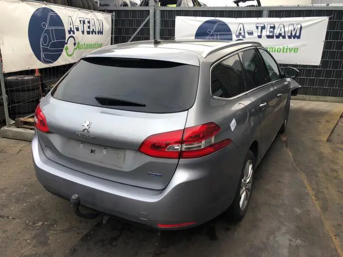 Dachverkleidung Peugeot 308