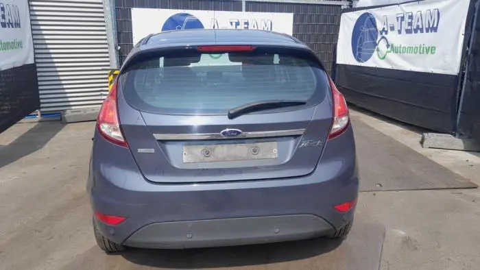 Torsieveer achter Ford Fiesta