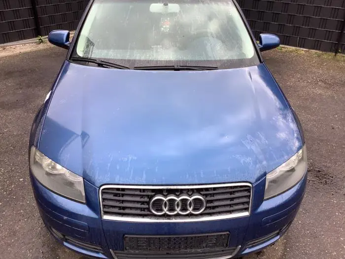 Motorhaube Audi A3