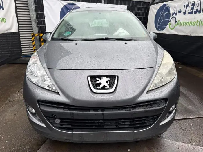 Motorhaube Peugeot 207